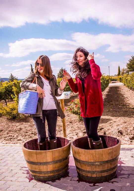 Hotel Rural Emina Valbuena De Duero Dış mekan fotoğraf